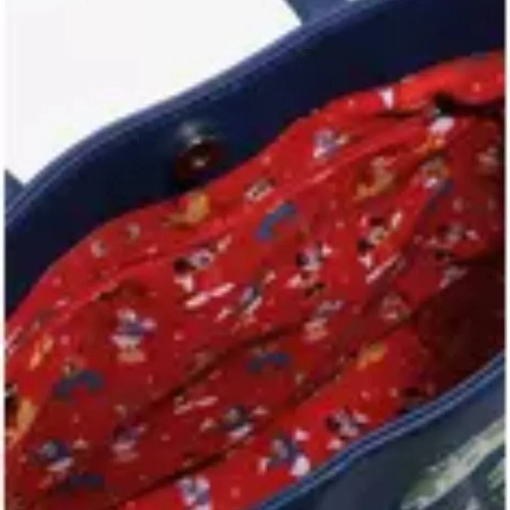 Loungefly Disneyland 65th Anniversary Tote BoxLunch Exclusive New